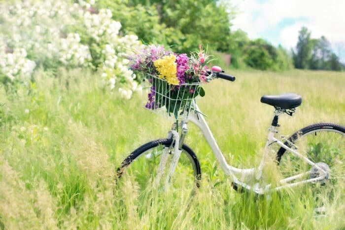 Discover France by bike