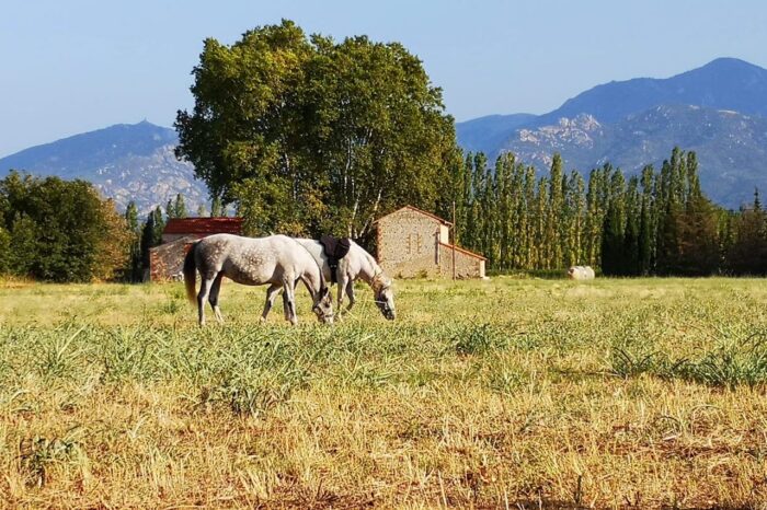 Discover the Pyrenees Orientales while staying in an authentic farmhouse